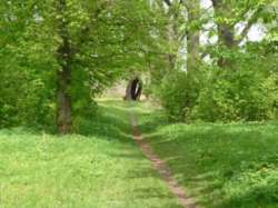 Продається ділянка Київська, Бориспільський, Вороньків, Дружбы фото 2 Продається ділянка Київська, Бориспільський, Вороньків, Дружбы фото 2