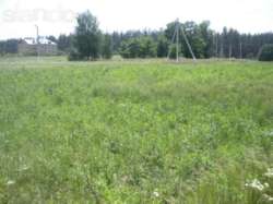 Продається ділянка Київська, Бориспільський, Проців, Соловьиная фото 4 Продається ділянка Київська, Бориспільський, Проців, Соловьиная фото 4