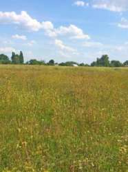 Продається ділянка Київська, Бориспільський, Дударків фото 3 Продається ділянка Київська, Бориспільський, Дударків фото 3