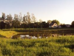 Продається ділянка Київська, Бориспільський, Любарці фото 1 Продається ділянка Київська, Бориспільський, Любарці фото 1