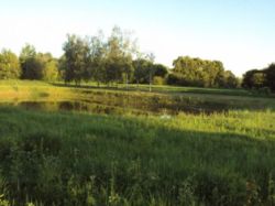 Продається ділянка Київська, Бориспільський, Любарці фото 3 Продається ділянка Київська, Бориспільський, Любарці фото 3