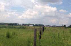 Продається ділянка Київська, Бориспільський, Іванків фото 1 Продається ділянка Київська, Бориспільський, Іванків фото 1