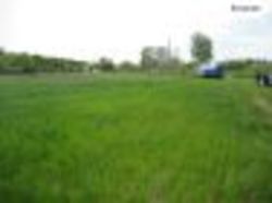 Продається ділянка Київська, Бориспільський, Кучаків фото 7 Продається ділянка Київська, Бориспільський, Кучаків фото 7