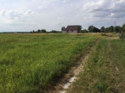 Продається ділянка Київська, Бориспільський, Лебедин фото 1 Продається ділянка Київська, Бориспільський, Лебедин фото 1