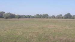 Продається ділянка Київська, Бориспільський, Вишеньки фото 3 Продається ділянка Київська, Бориспільський, Вишеньки фото 3