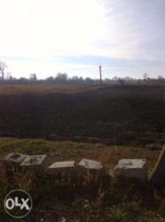 Продається ділянка Київська, Бориспільський, Любарці, Щорса фото 3 Продається ділянка Київська, Бориспільський, Любарці, Щорса фото 3