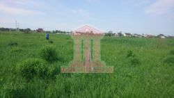   , , ,   2