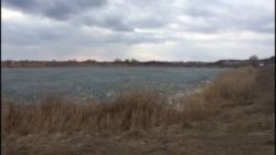 Продається ділянка Київська, Бориспільський фото 1 Продається ділянка Київська, Бориспільський фото 1