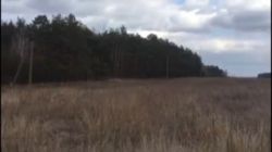 Продається ділянка Київська, Бориспільський фото 3 Продається ділянка Київська, Бориспільський фото 3