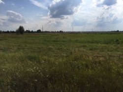 Продається ділянка Київська, Бориспільський, Лебедин фото 2 Продається ділянка Київська, Бориспільський, Лебедин фото 2