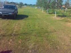 Продається ділянка Київська, Бориспільський, Дударків, кооп. Солнечный фото 4 Продається ділянка Київська, Бориспільський, Дударків, кооп. Солнечный фото 4