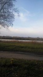 Продається ділянка Київська, Бориспільський, Рогозов фото 4 Продається ділянка Київська, Бориспільський, Рогозов фото 4