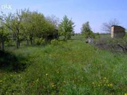 Продається ділянка Київська, Бориспільський, Іванків фото 3 Продається ділянка Київська, Бориспільський, Іванків фото 3