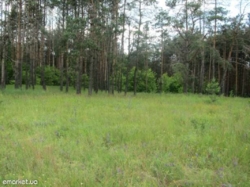 Продається ділянка Київська, Бориспільський, Вороньків фото 1 Продається ділянка Київська, Бориспільський, Вороньків фото 1