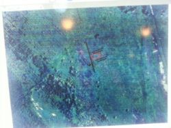 Продається ділянка Київська, Бориспільський, Старе фото 1 Продається ділянка Київська, Бориспільський, Старе фото 1