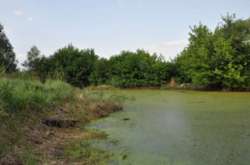 Продається ділянка Київська, Бориспільський, Вишеньки фото 4 Продається ділянка Київська, Бориспільський, Вишеньки фото 4