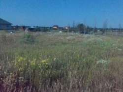 Продається ділянка Київська, Бориспільський, Дударків, кооп. Солнечный фото 6 Продається ділянка Київська, Бориспільський, Дударків, кооп. Солнечный фото 6