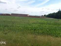 Продається ділянка Київська, Бориспільський, Велика Олександрівка фото 1 Продається ділянка Київська, Бориспільський, Велика Олександрівка фото 1