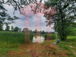   , , , .  12