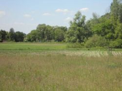 Продається ділянка Київська, Бориспільський, Дударків, Молодежная фото 8 Продається ділянка Київська, Бориспільський, Дударків, Молодежная фото 8