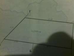 Продається ділянка Київська, Бориспільський, Дударків, кооп. Солнечный фото 2 Продається ділянка Київська, Бориспільський, Дударків, кооп. Солнечный фото 2