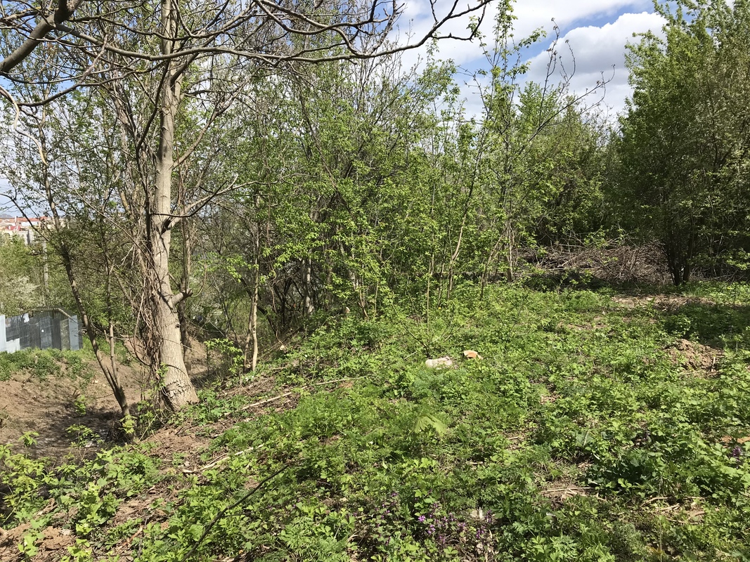 Продається ділянка Вінницька, Вінниця, Староміський, Старе місто, Замкова фото 1 Продається ділянка Вінницька, Вінниця, Староміський, Старе місто, Замкова фото 1