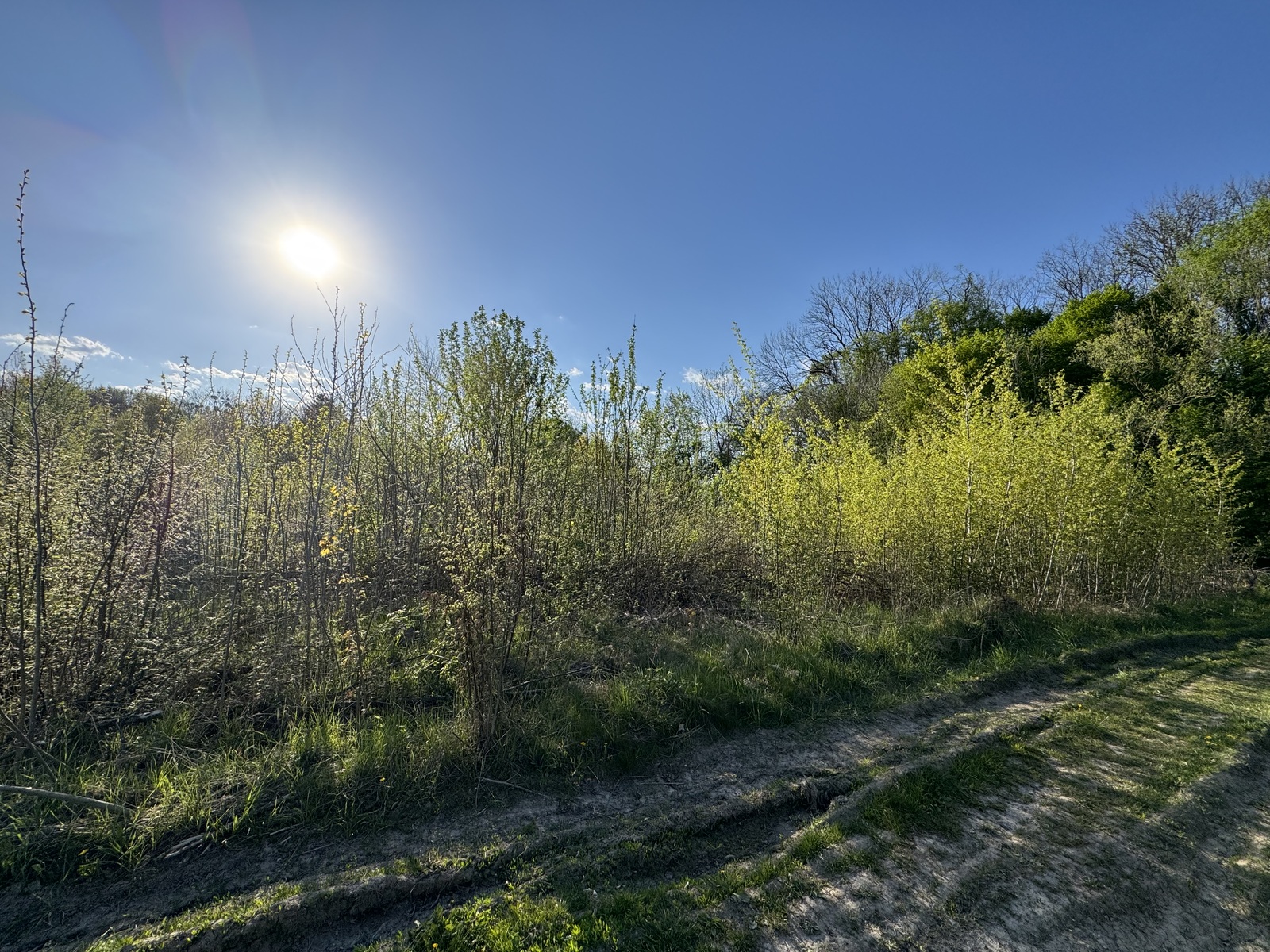 🌿 ������ �������� ������ 10 ����� ������� � �������� ���� ��� ����� �� ����������! ���� 1