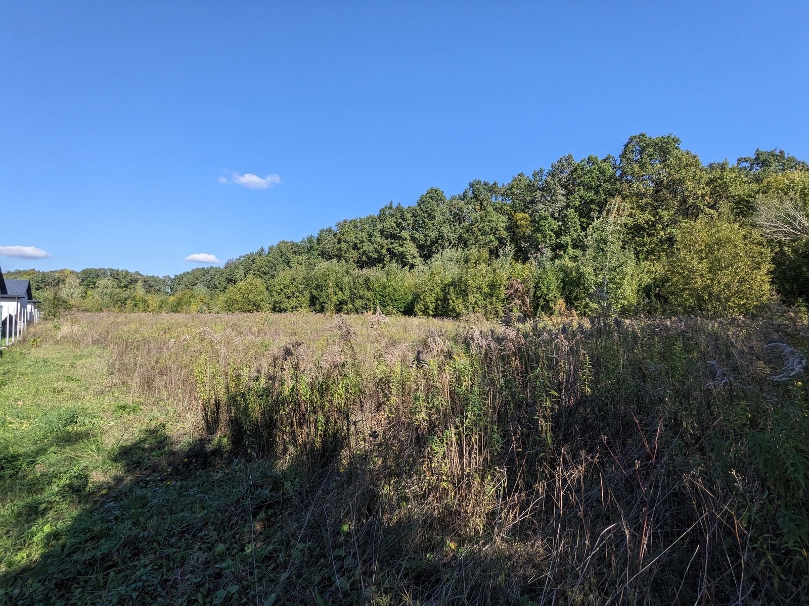 🏞️     , . .  1