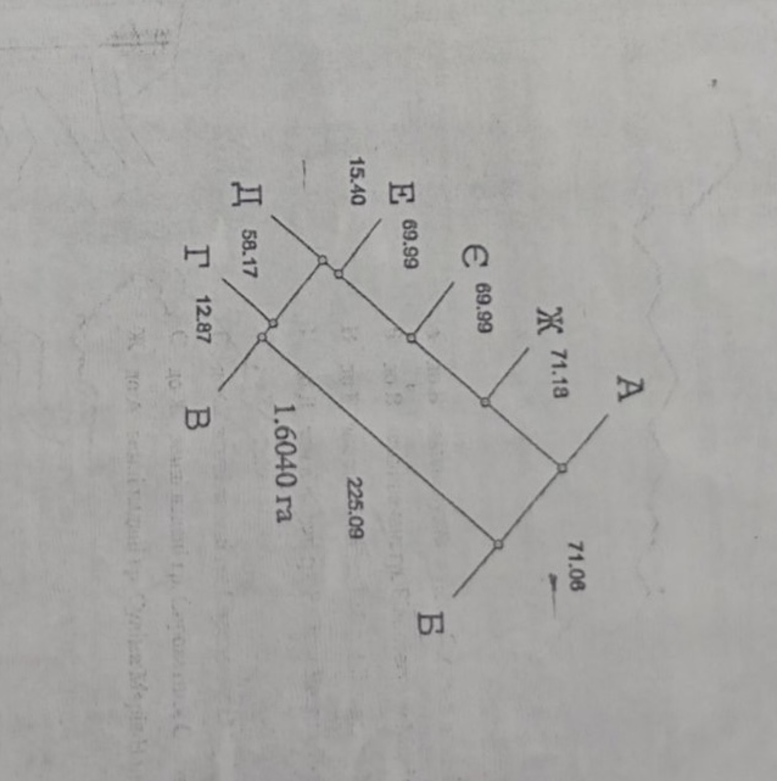 ������ ������� ������ ���� 1