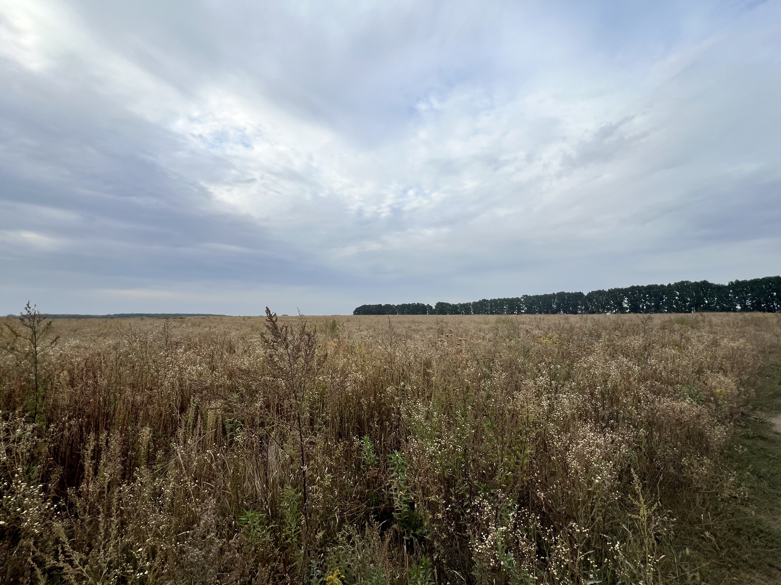 Продаж земельної ділянки в Агрономічному фото 1 Продаж земельної ділянки в Агрономічному фото 1