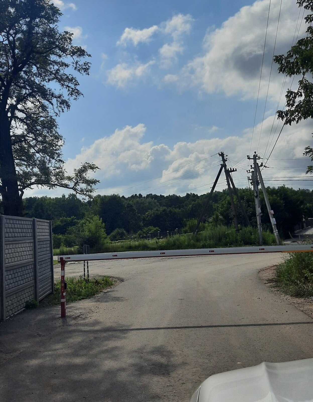 Продаж земельної ділянки під житлову забудову Шкуринці. фото 1 Продаж земельної ділянки під житлову забудову Шкуринці. фото 1