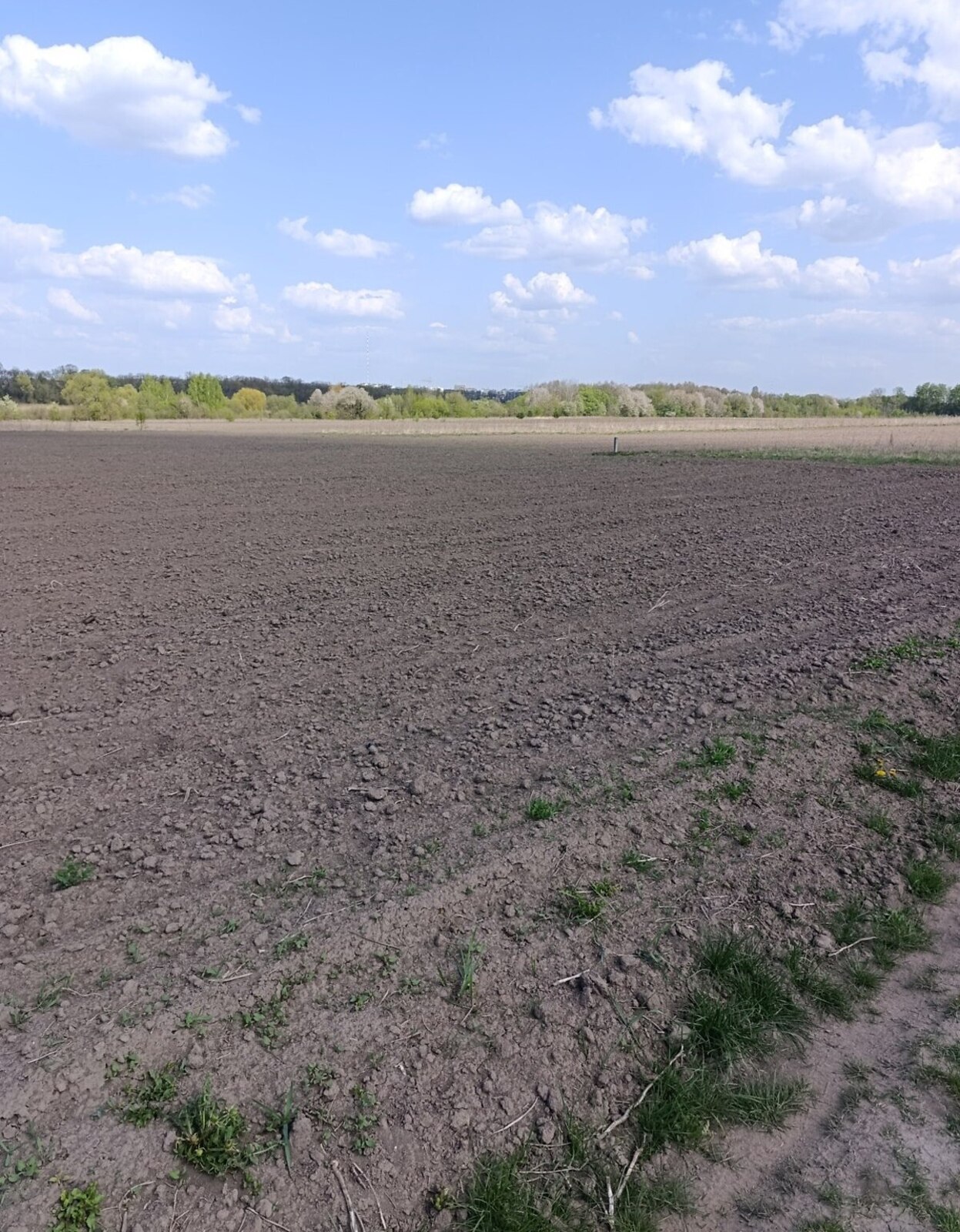 Продаж земельної ділянки сільськогосподарського призначення, на вул. Дружби фото 1 Продаж земельної ділянки сільськогосподарського призначення, на вул. Дружби фото 1