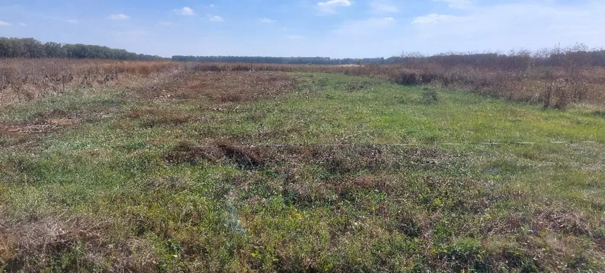 ������ �������� ������ ���� 1