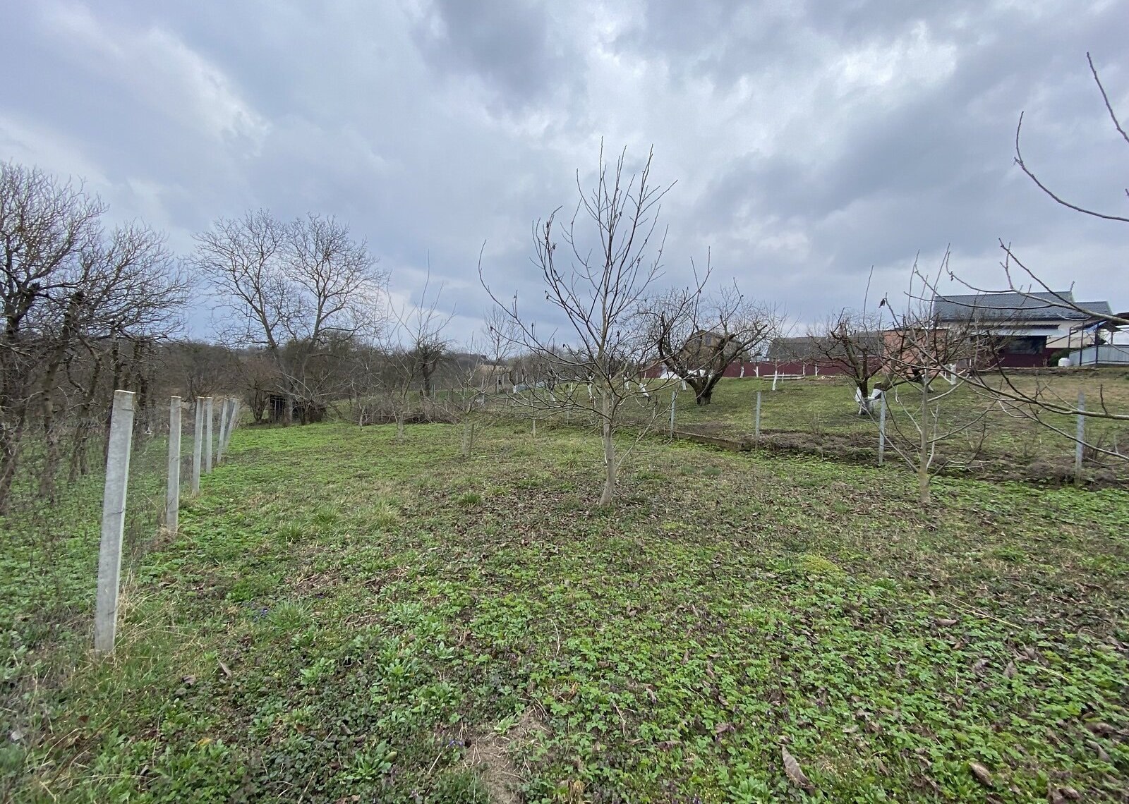 ������ �������� ������ �� ������� �������� �� ���. ������� ���� 1