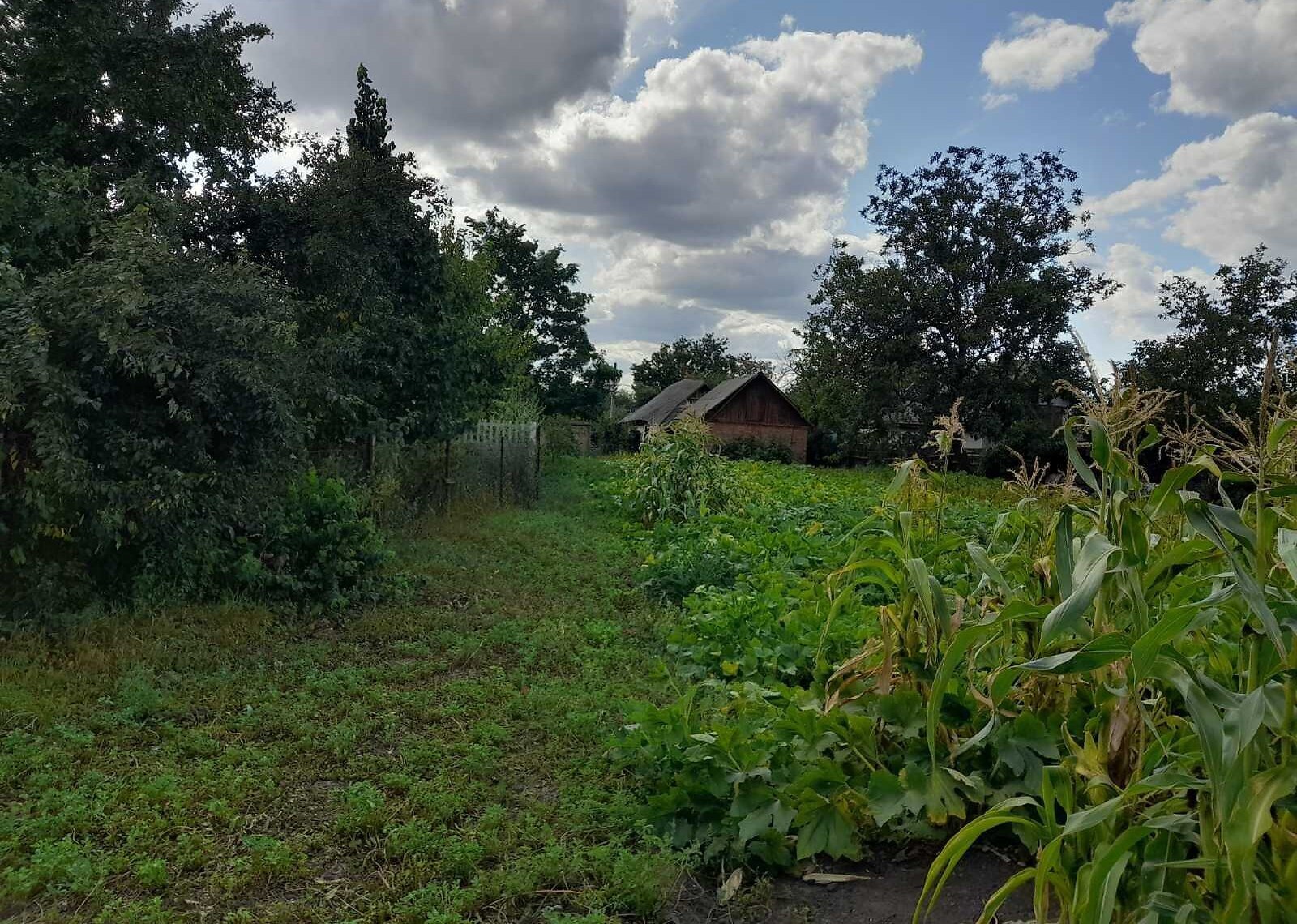 Продаж земельної ділянки під житлову забудову фото 1 Продаж земельної ділянки під житлову забудову фото 1