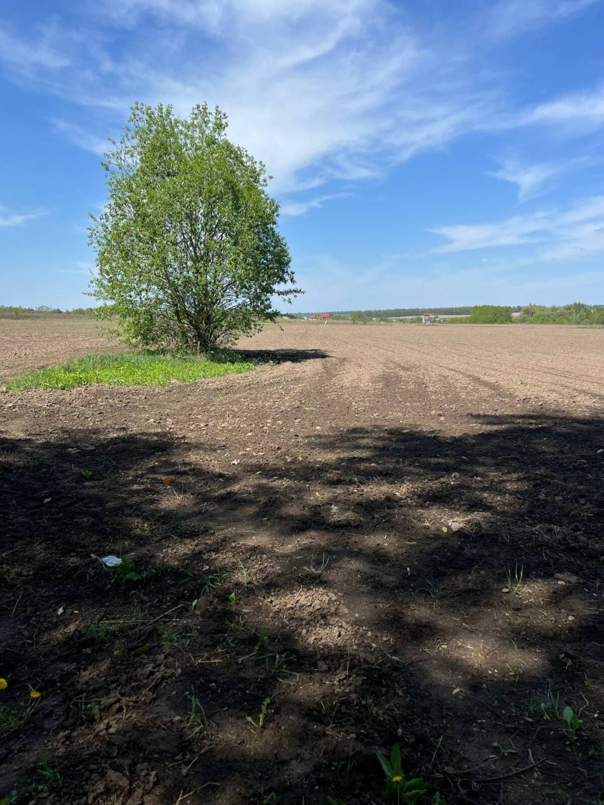 Продам земельну ділянку с.Березина фото 1 Продам земельну ділянку с.Березина фото 1
