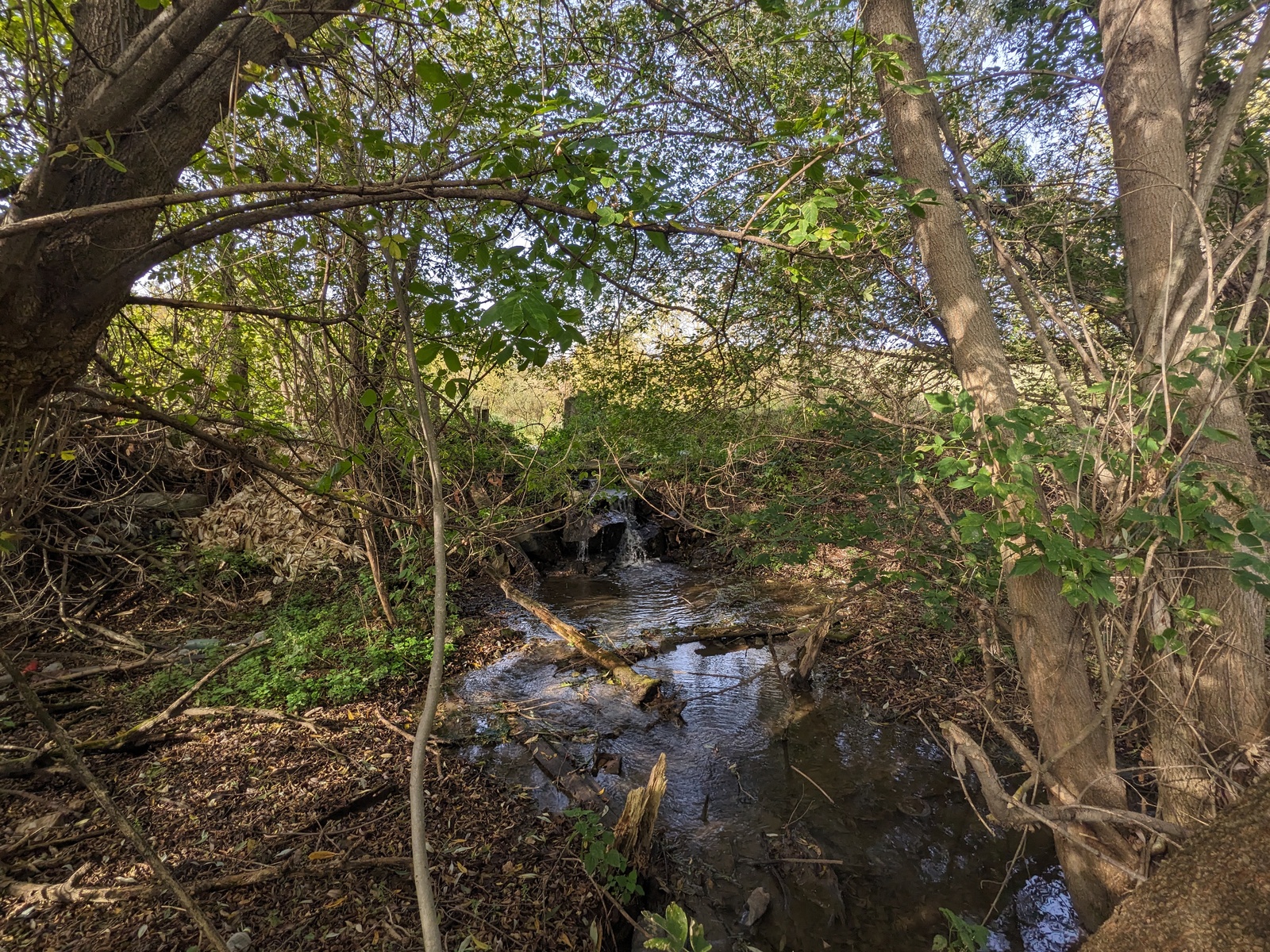 Продається 🌿 унікальна земельна ділянка з нахилом біля річки! 🌊 фото 1 Продається 🌿 унікальна земельна ділянка з нахилом біля річки! 🌊 фото 1