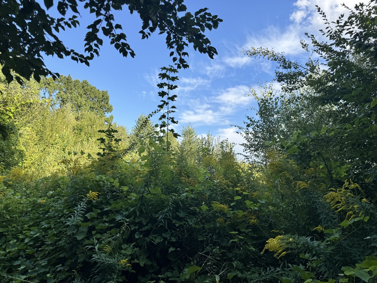 ĳ����� �������� ���� 1