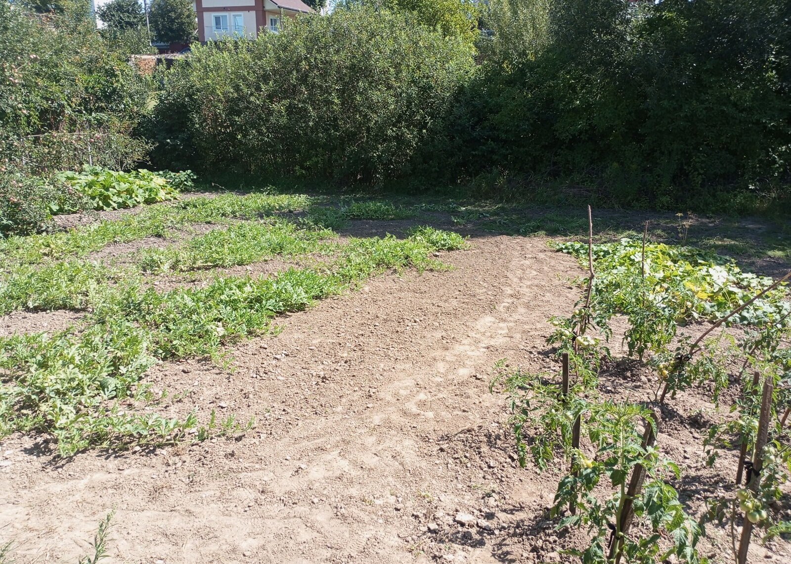 Продаж земельної ділянки під житлову забудову фото 1 Продаж земельної ділянки під житлову забудову фото 1