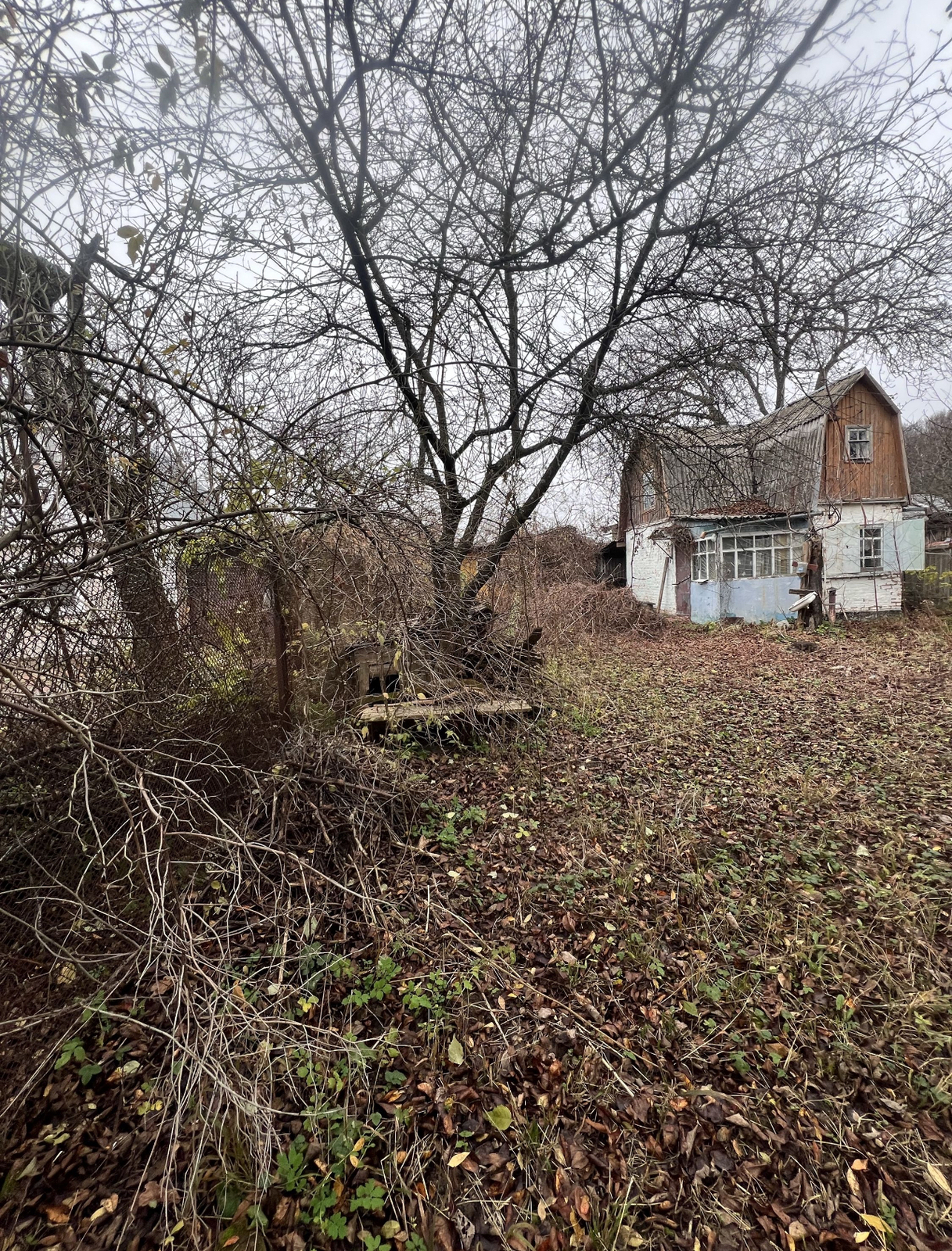 ��������� ������ ³�������, ³�����, ����������, �'�������� ���� 1