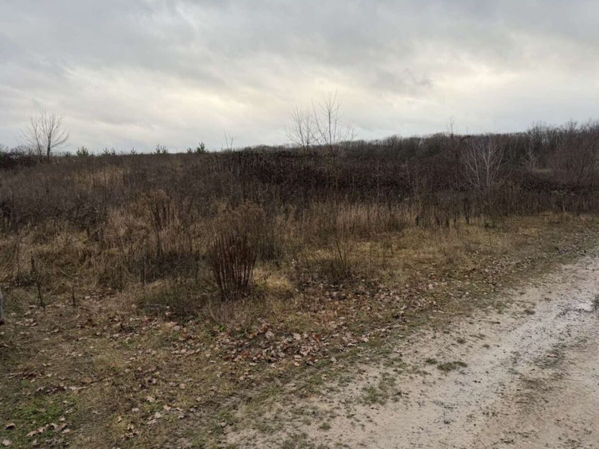 Продам земельну ділянку район старого міста. фото 1 Продам земельну ділянку район старого міста. фото 1