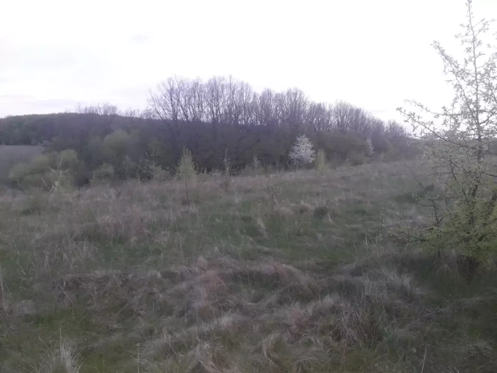 Продається ділянка Вінницька, Вінниця, Передмістя, Лука-Мелешківська, Захисників 2 фото 1 Продається ділянка Вінницька, Вінниця, Передмістя, Лука-Мелешківська, Захисників 2 фото 1