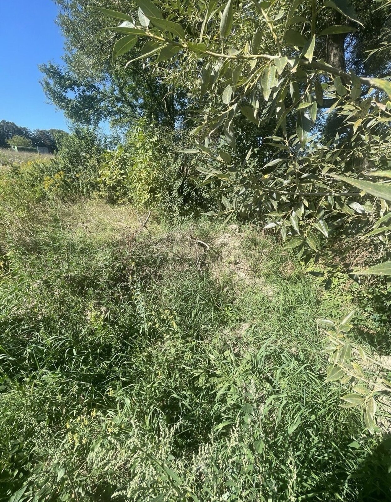 ������ �������� ������ ��������������������� ����������� ���� 1