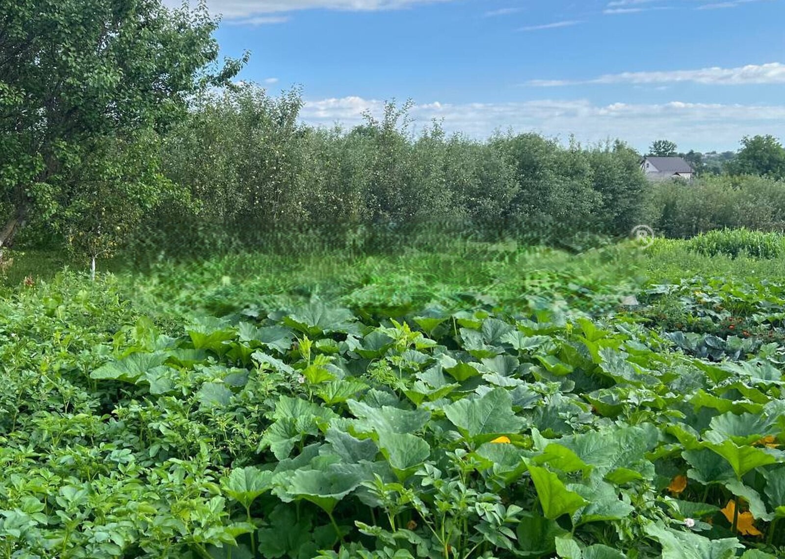 Продаж земельної ділянки під житлову забудову фото 1 Продаж земельної ділянки під житлову забудову фото 1