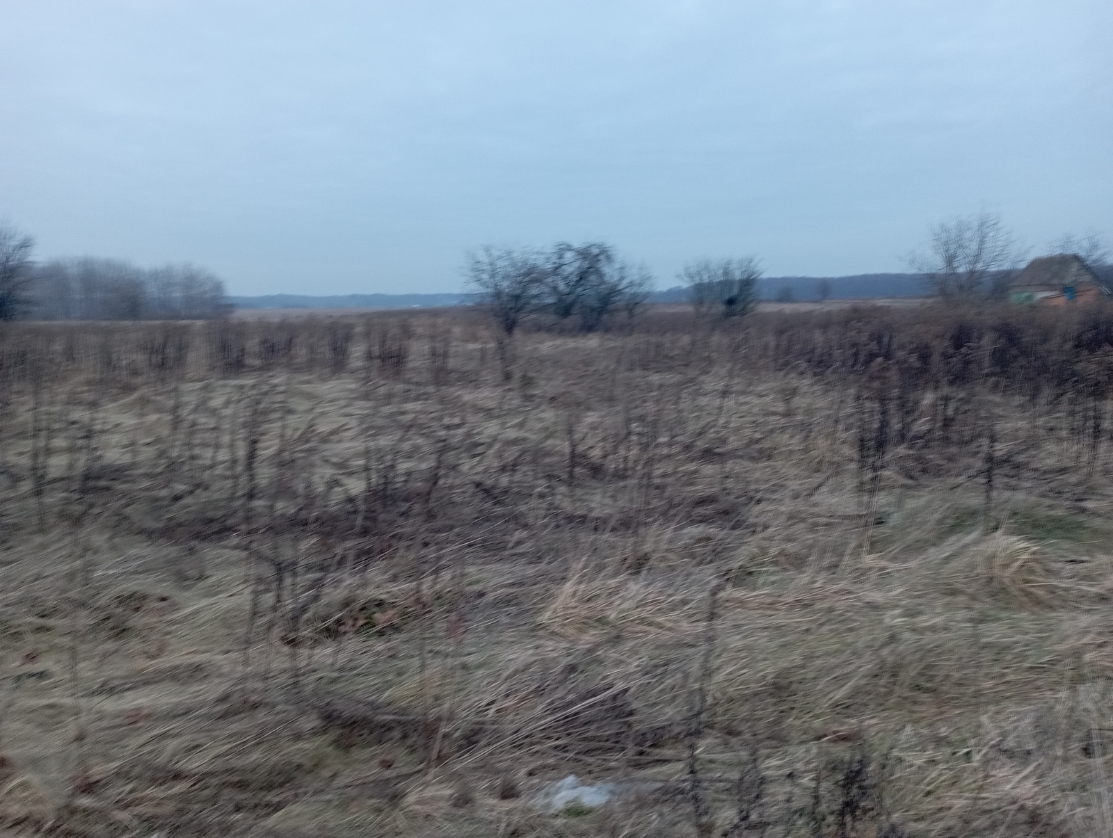 Продається земельна ділянка в Стрижавці фото 1 Продається земельна ділянка в Стрижавці фото 1