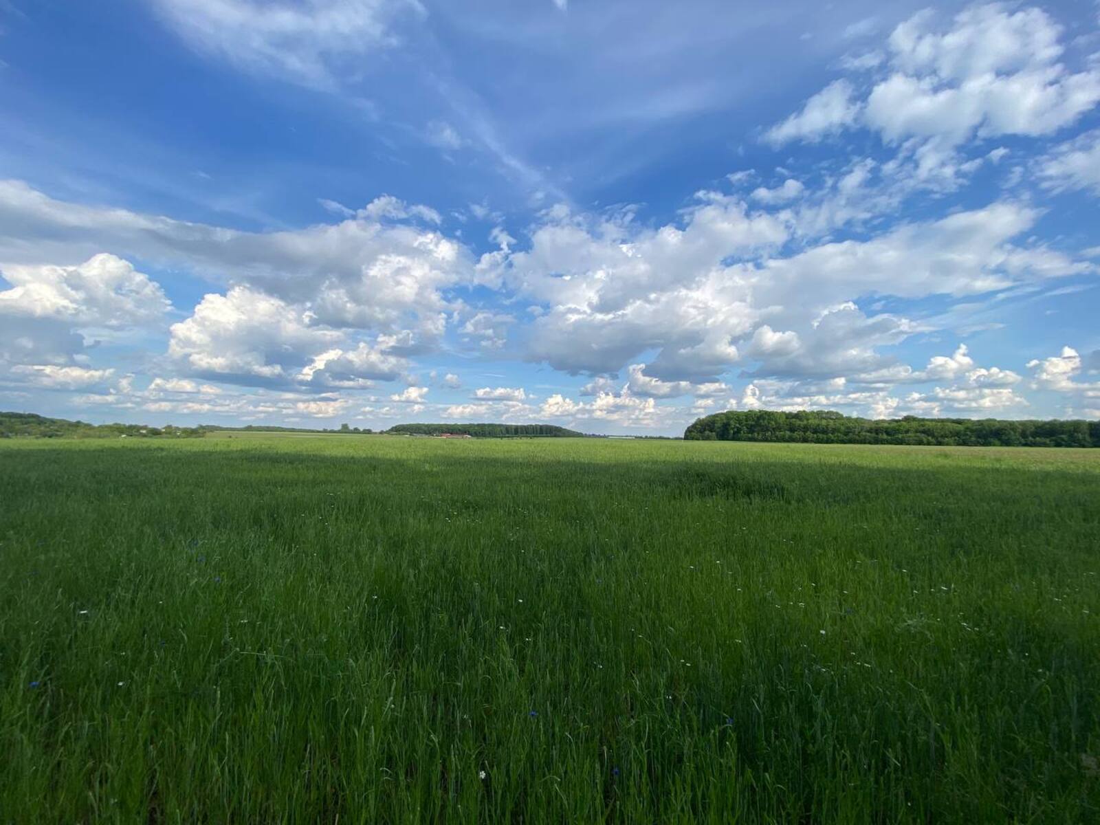 Продаж земельної ділянки площею 1 Га фото 1 Продаж земельної ділянки площею 1 Га фото 1