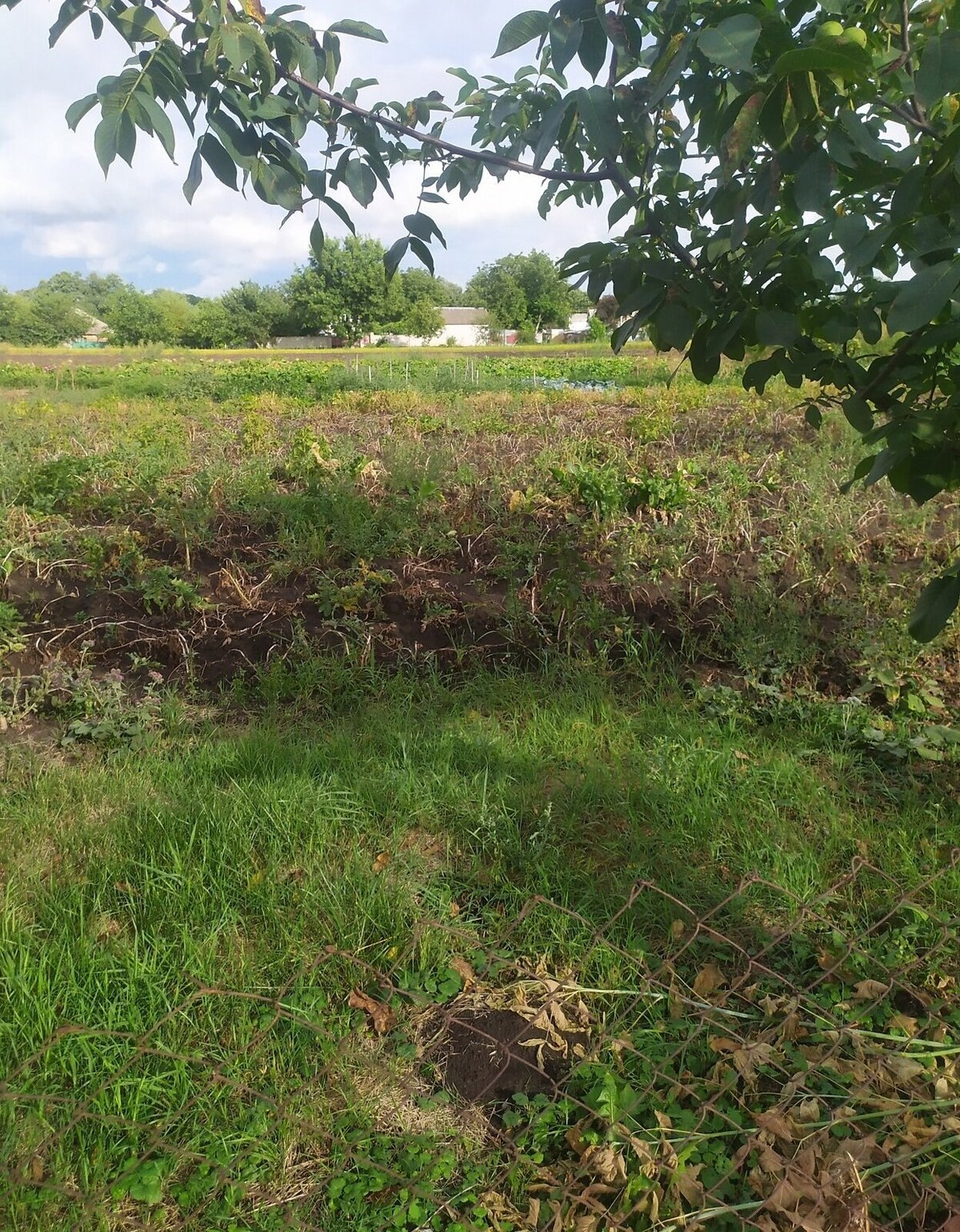 Продаж земельної ділянки під забудову фото 1 Продаж земельної ділянки під забудову фото 1