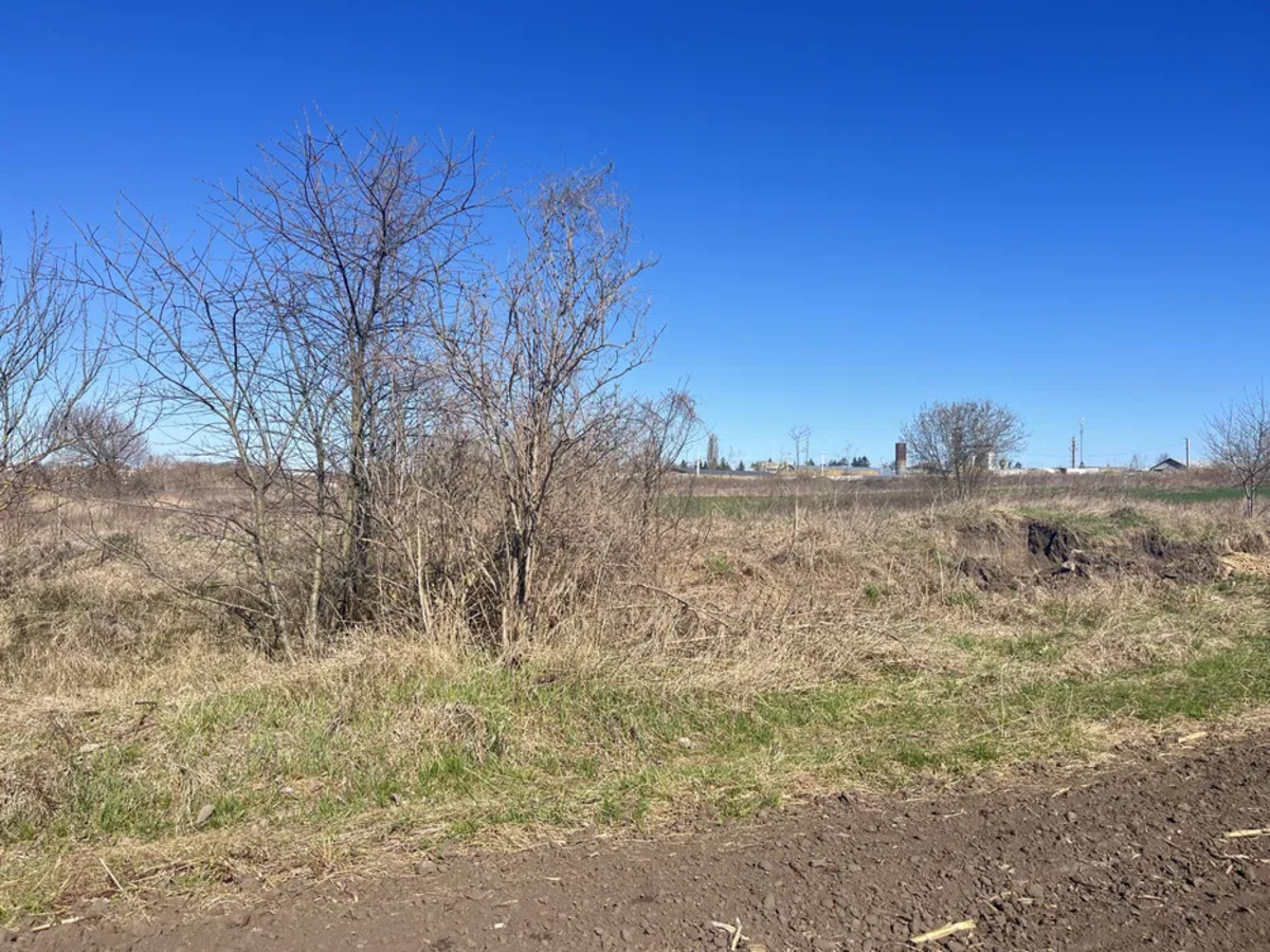 �������� ������ � ��������� ���� 1