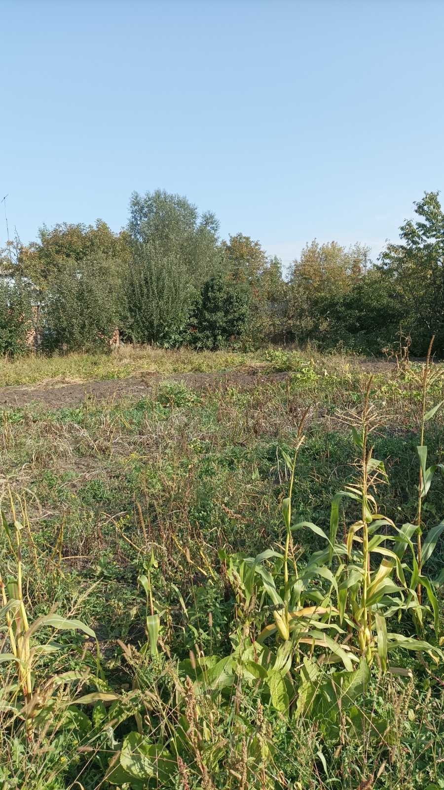 гарна ділянка з криницею та світлом фото 1 гарна ділянка з криницею та світлом фото 1