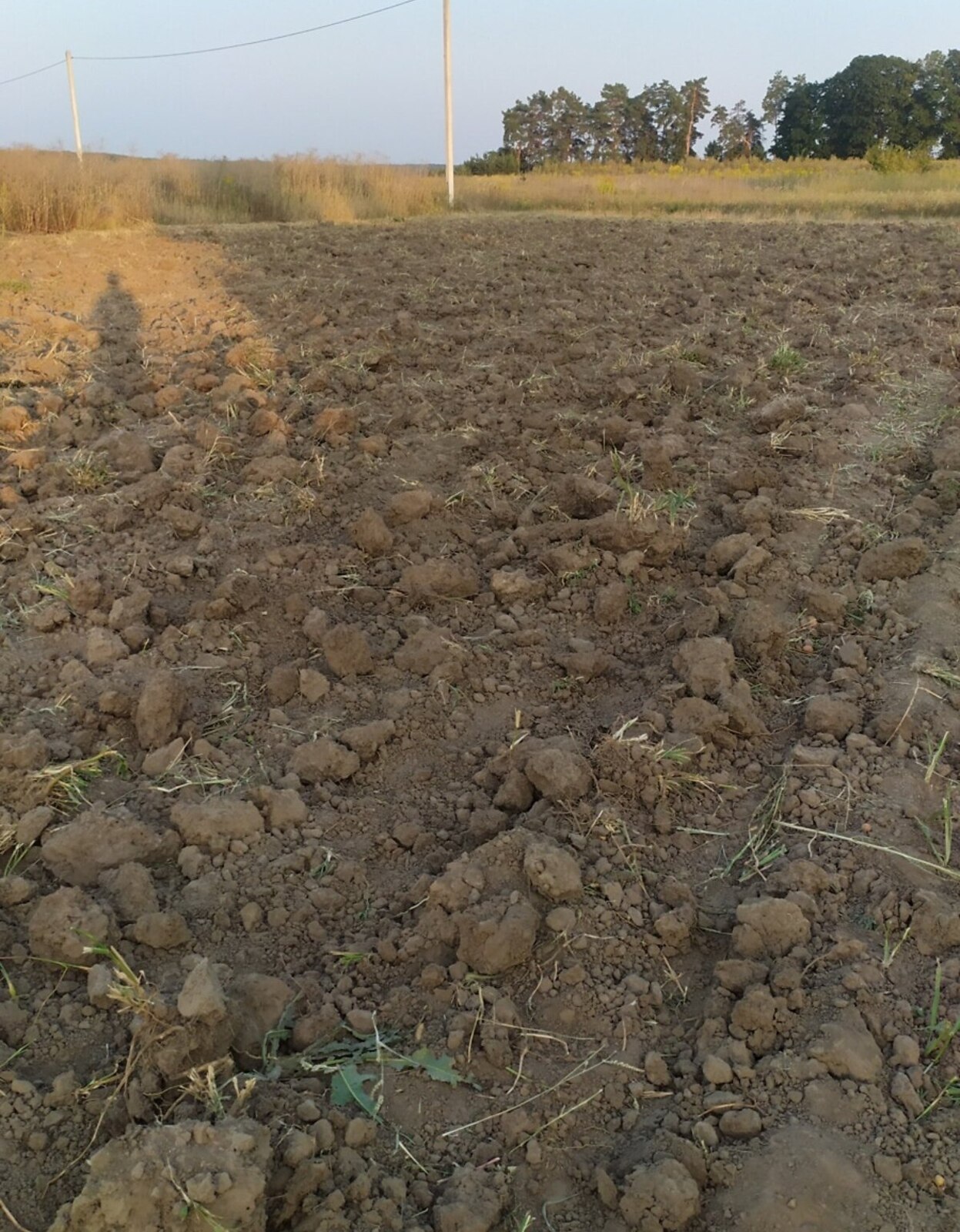 Продаж земельної ділянки під житлову забудову фото 1 Продаж земельної ділянки під житлову забудову фото 1